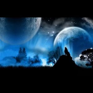 Meet your Posher, Janine